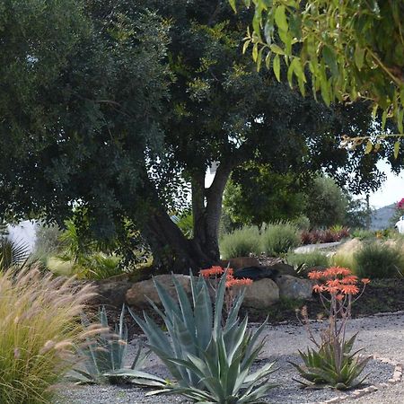 Quinta Luz Do Sol Bed & Breakfast Moncarapacho Exterior photo